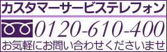�J�X�^�}�[�T�[�r�X�e���t�H��